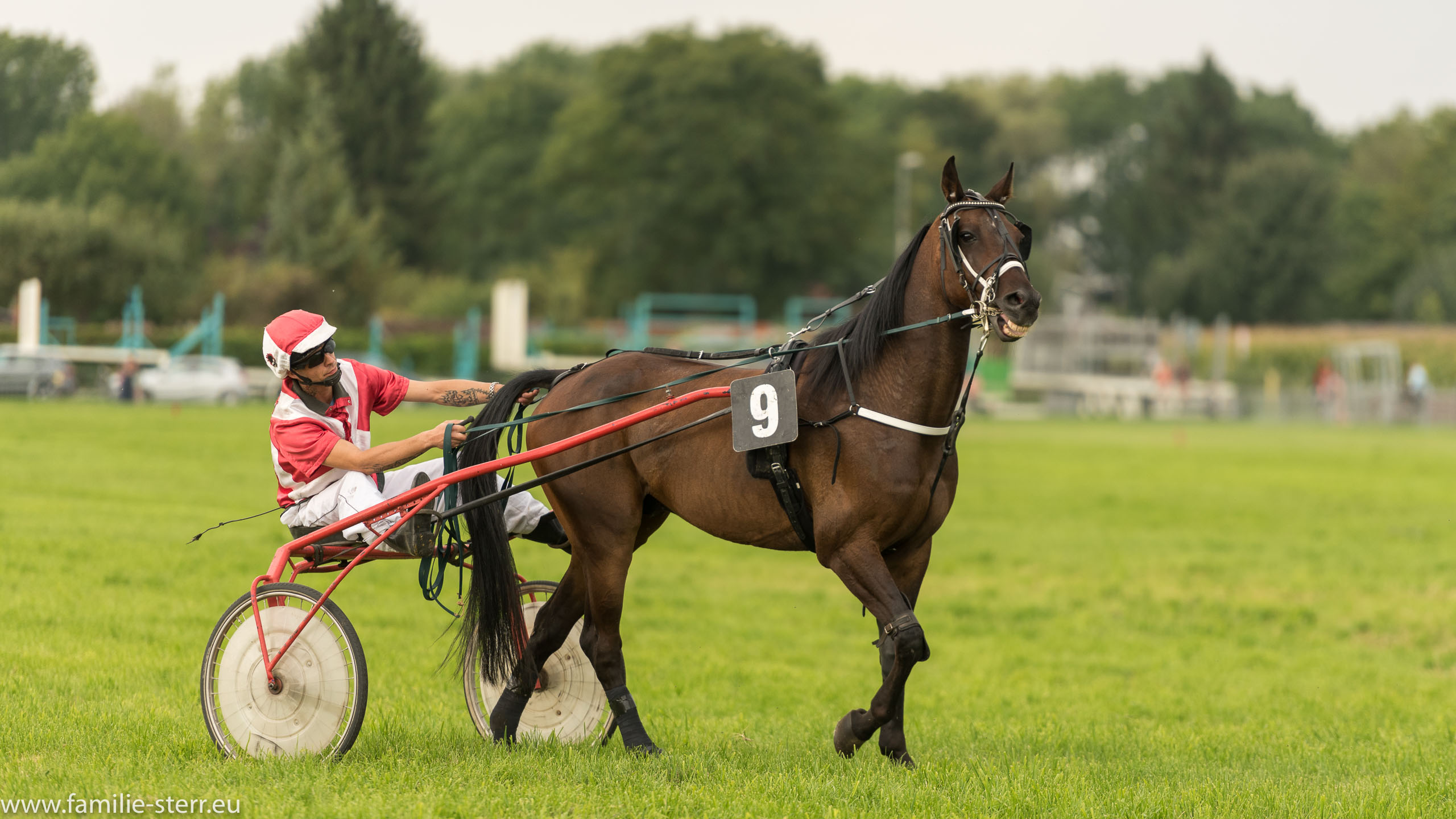 Trabrennen in Erding 2017
